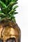 14" Pineapple Skull Halloween Decoration